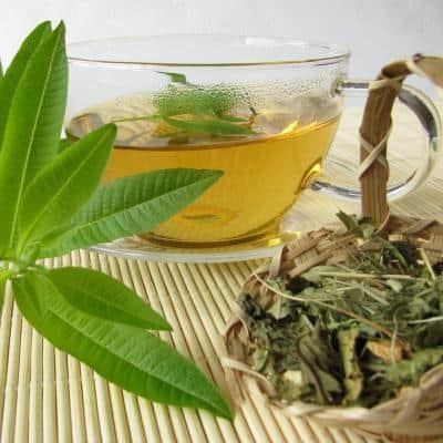 τσάι από φύλλα σημύδας για απώλεια βάρους Ο καθαρισμός του παχέος εντέρου βοηθά στην απώλεια λίπους στην κοιλιά