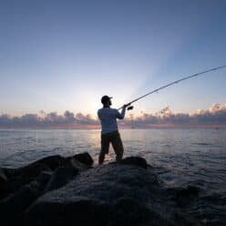 Δωρεάν εφαρμογές για ψάρεμα Αυτές είναι οι 4 καλύτερες